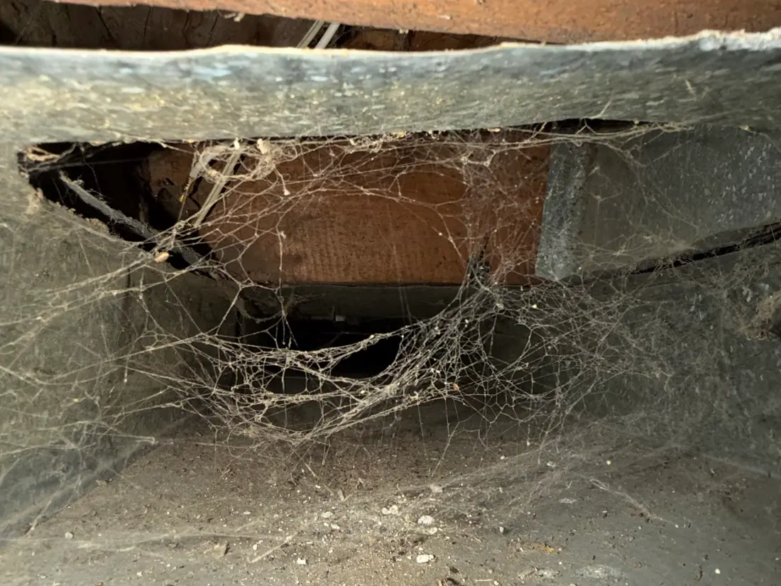 Conduit de ventilation rempli de toiles et de débris